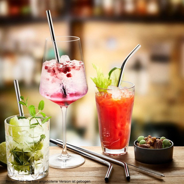 Edelstahltrinkhalm FUTURE - gebogen, 23 cm 4 Stück mit Bürste