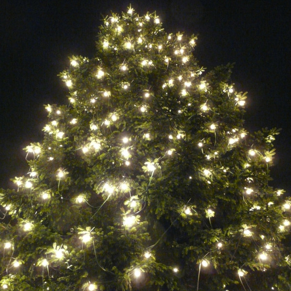 Illu-/Partylichterkette 20m - Außenlichterkette weiß -Made in Germany - 20 warmweiße LED Kugellampen