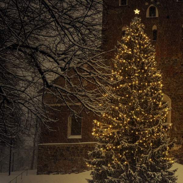 Illu-/Partylichterkette 20m - Außenlichterkette weiß -Made in Germany - 20 warmweiße LED Kugellampen