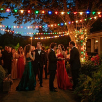 Vorschau: Illu-/Partylichterkette 10m - Außenlichterkette schwarz - Made in Germany 10x bunte LED Tropfenlampe Vorschau: Illu-/Partylichterkette 10m - Außenlichterkette schwarz - Made in Germany 10x bunte LED Tropfenlampe