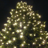 Vorschau: Illu-/Partylichterkette 20m - Außenlichterkette weiß -Made in Germany - 20 warmweiße LED Kugellampen Vorschau: Illu-/Partylichterkette 20m - Außenlichterkette weiß -Made in Germany - 20 warmweiße LED Kugellampen